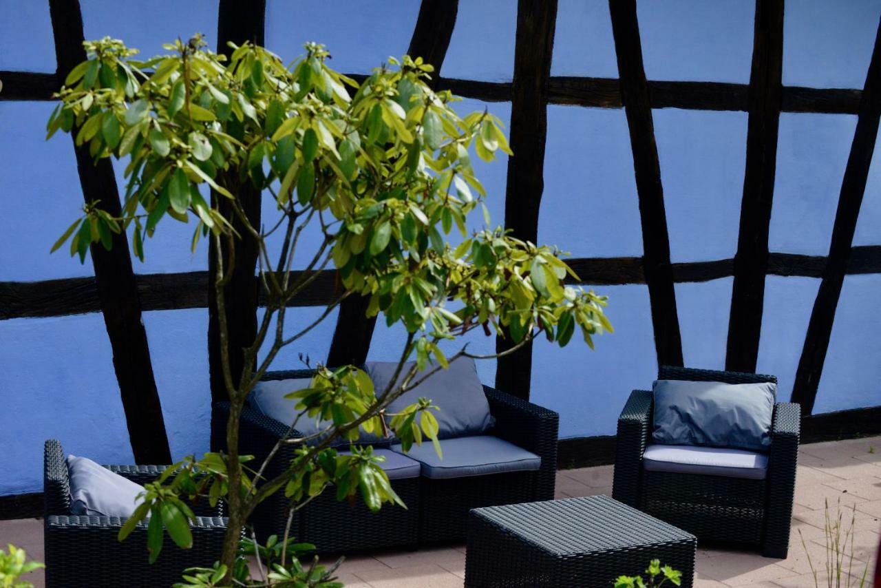 Le Clos Bleu - Gite Rural Schillersdorf Exteriör bild