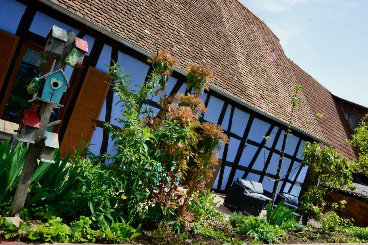 Le Clos Bleu - Gite Rural Schillersdorf Exteriör bild